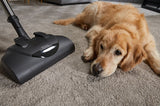 Miele Classic C1 Cat & Dog PowerLine - Refurbished