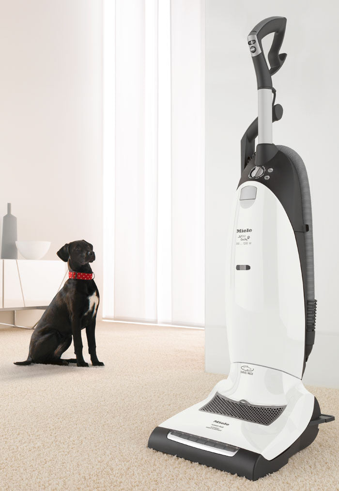 Miele Dynamic U1 Cat and Dog