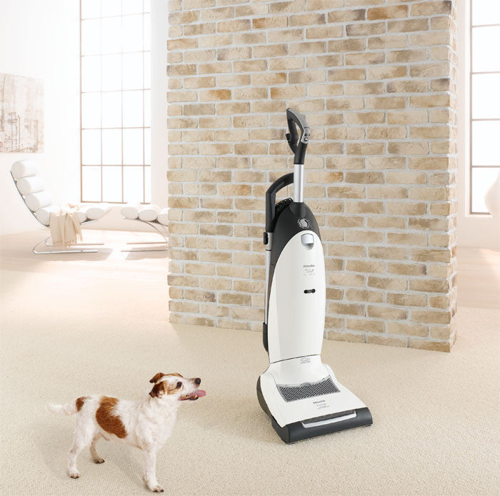 Miele Dynamic U1 Cat and Dog